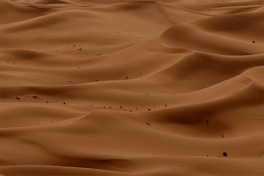 Sarah Taylor Psychotherapist